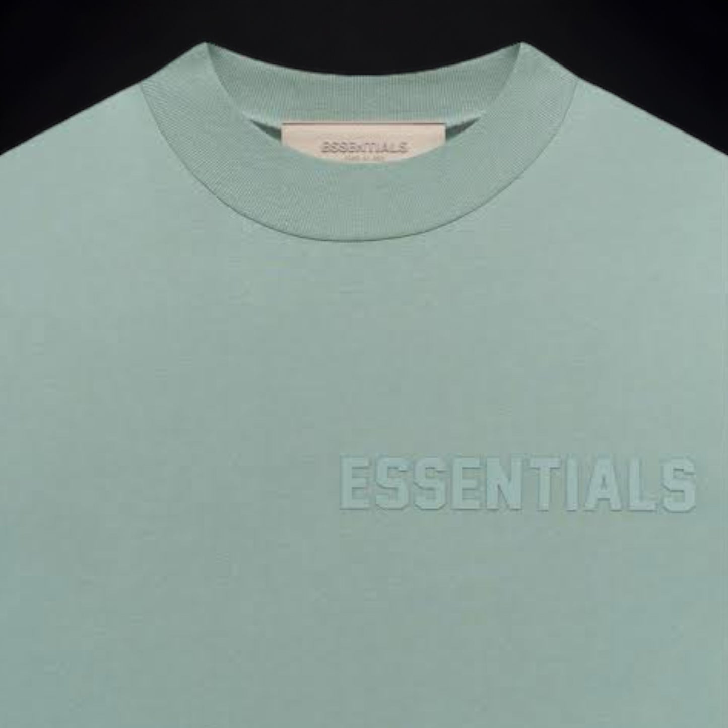 Fear Of God Essentials T-Shirt "Sycamore"