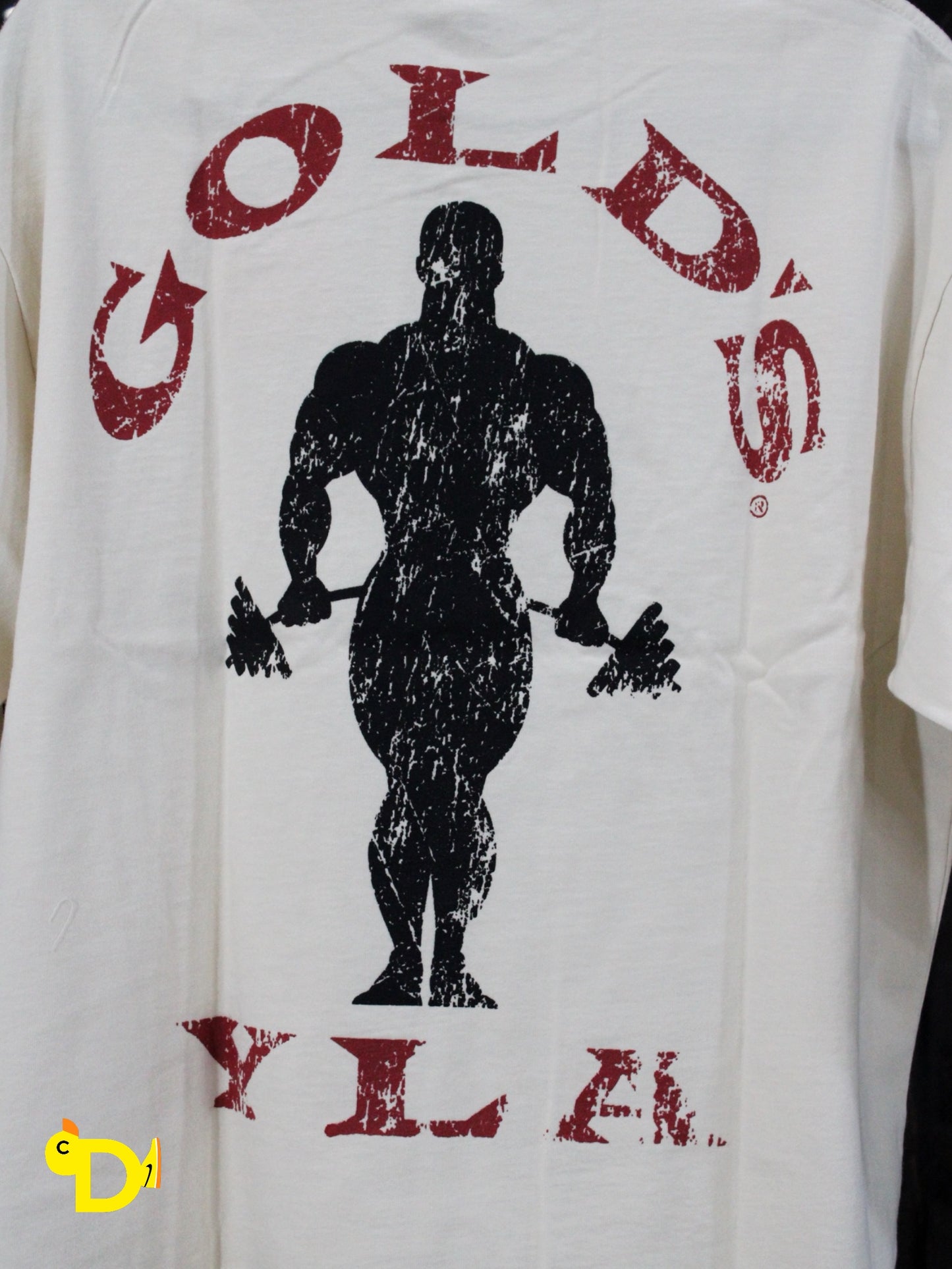 4002 - Golds Gym New Age Tees (Beige)