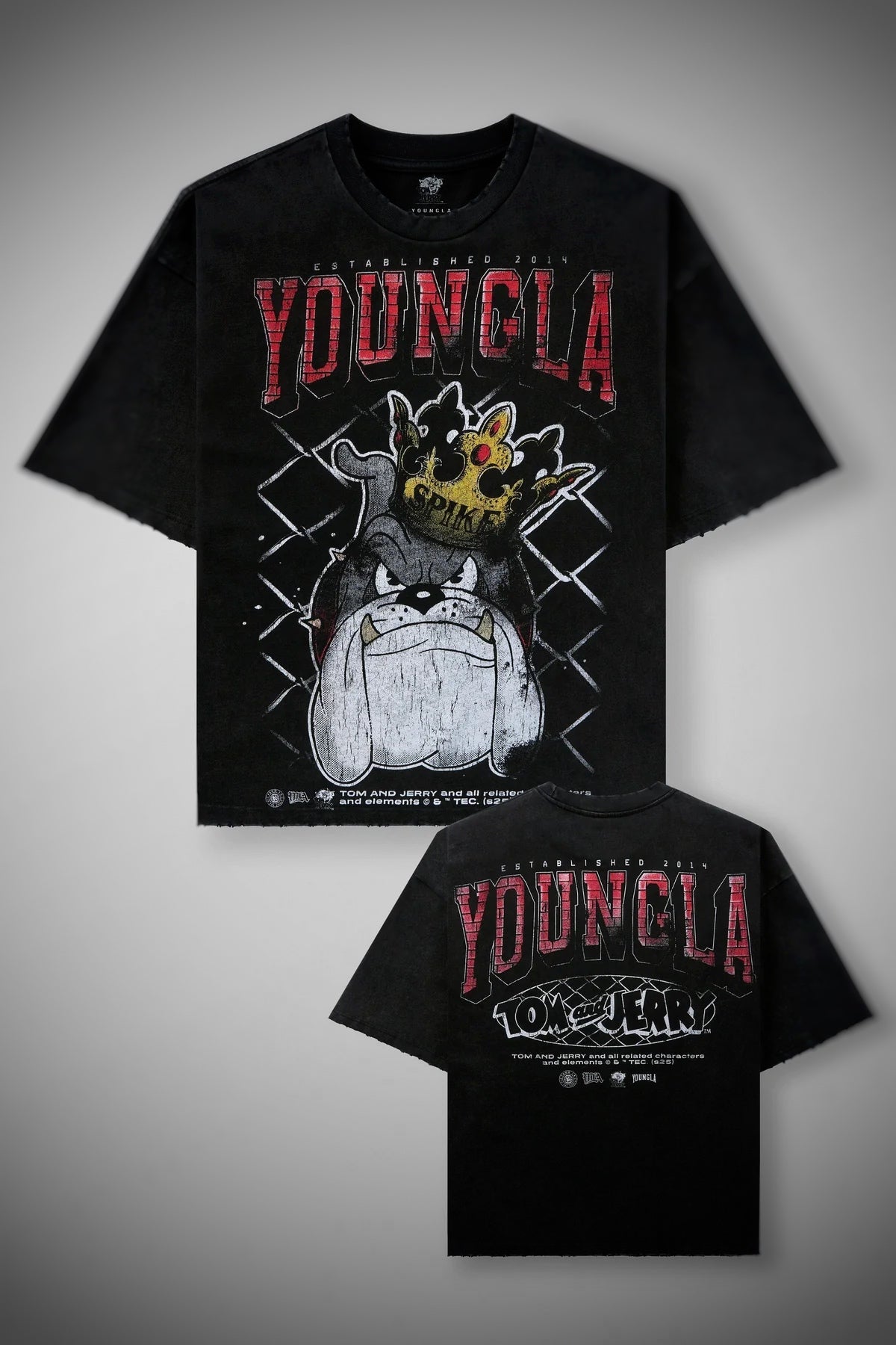 Tom & Jerry Tees-Spike- 4082