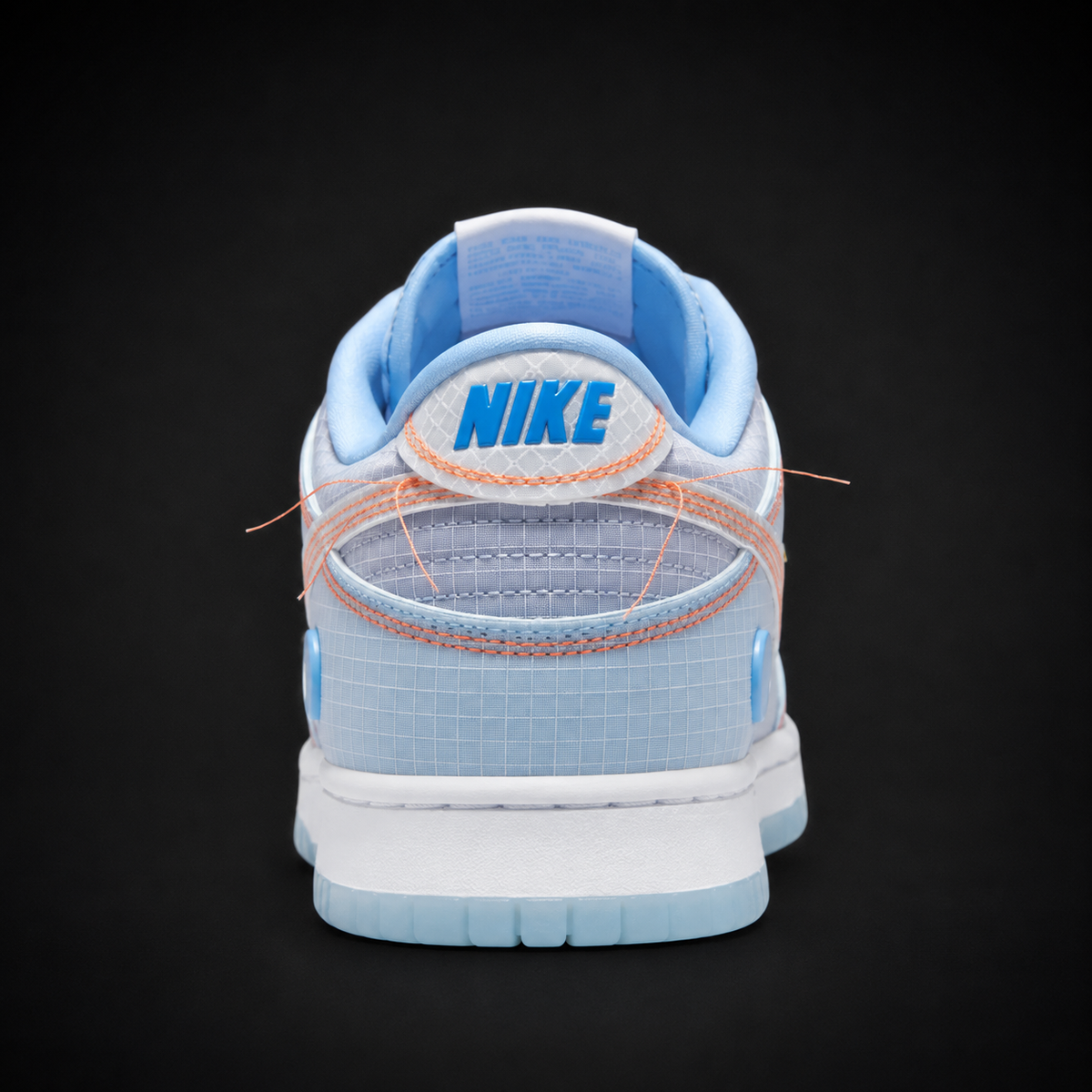 Nike Dunk Low Argon, vista trasera — Crazy!Duck Hype