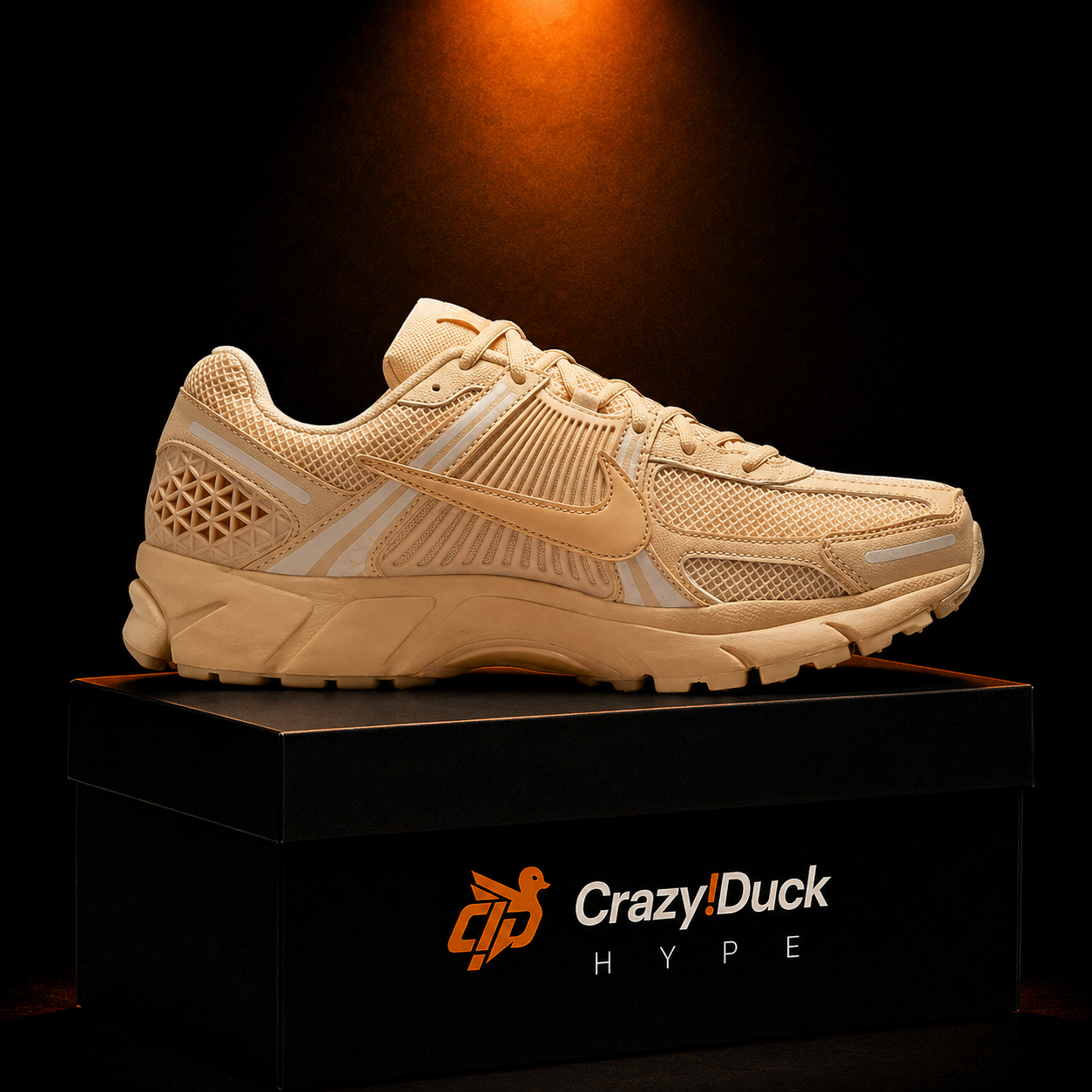 Nike Vomero 5 Gold Celestial con empaque — Crazy!Duck Hype