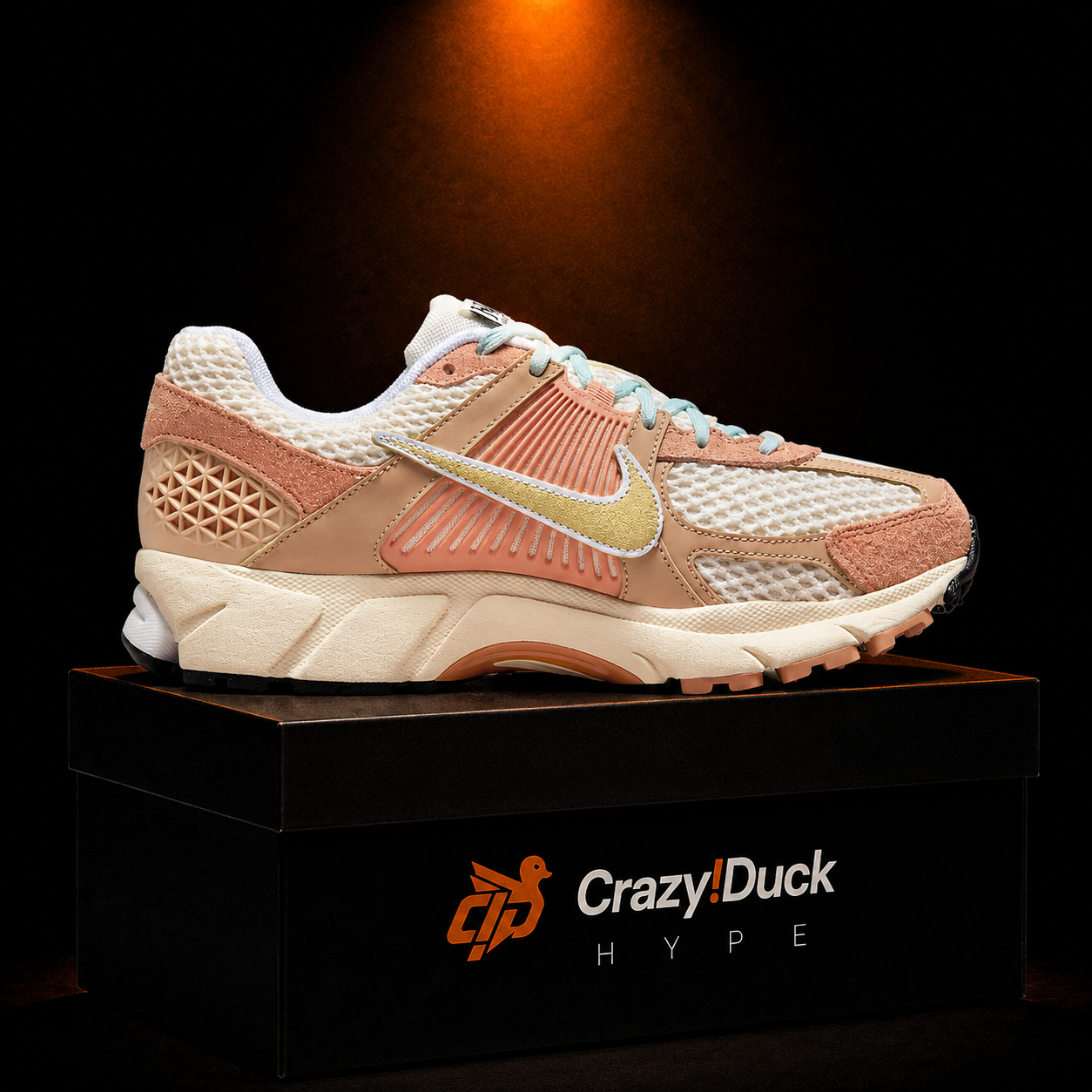 Nike Vomero 5 Have a Nike Day con empaque — Crazy!Duck Hype