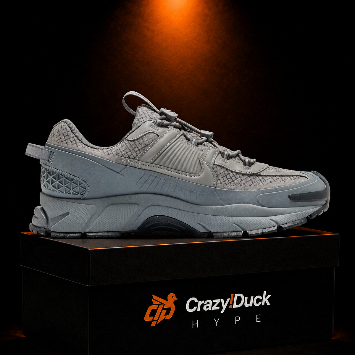 Nike Vomero 5 Metallic Platinum con empaque — Crazy!Duck Hype