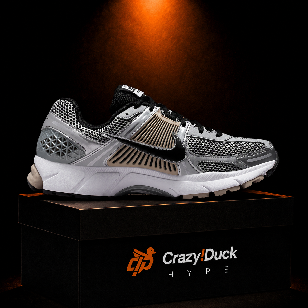 Nike Vomero 5 Wolf Metallic Silver con empaque — Crazy!Duck Hype