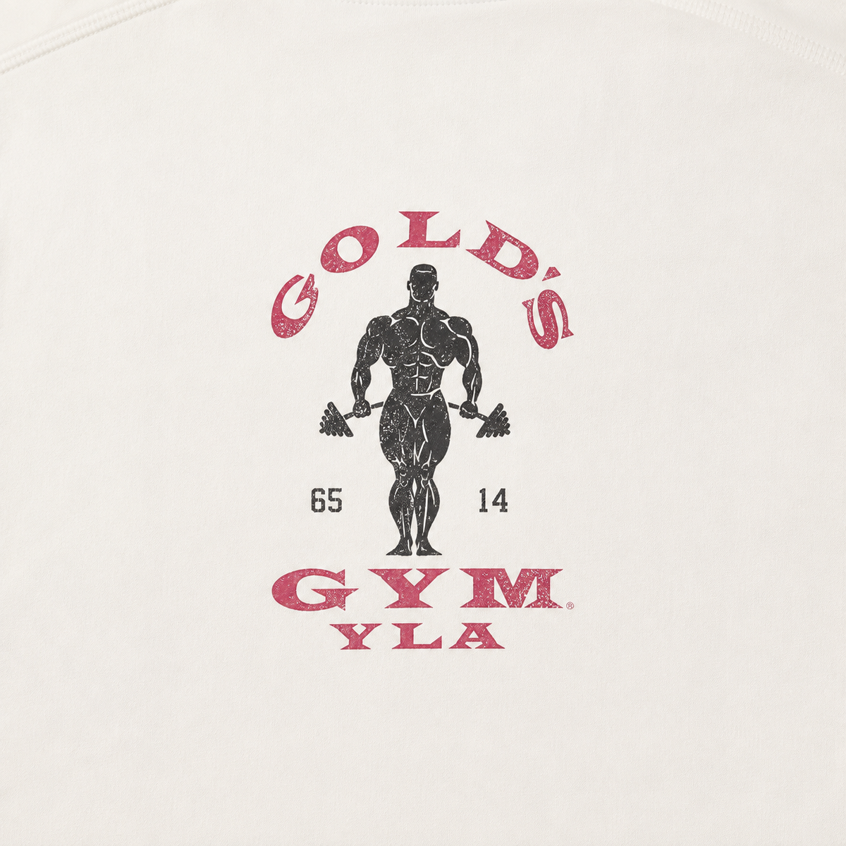 YoungLA 4002 Golds Gym New Age Tees Beige, detalle de logo y material — Crazy!Duck Hype