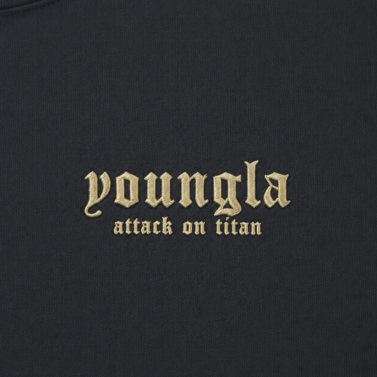 YoungLA 4186 AOT Cropped Tees Defense of Trost The Trio, detalle de logo y material — Crazy!Duck Hype