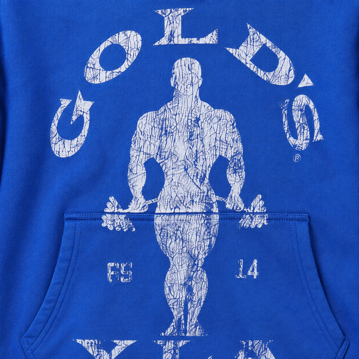 YoungLA 5161 Golds Gym Classic Pullovers Blue, detalle de estampado — Crazy!Duck Hype