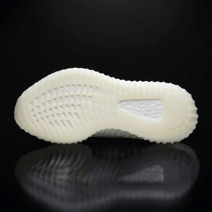 Adidas Yeezy Boost 350 V2 "Blue Tint"